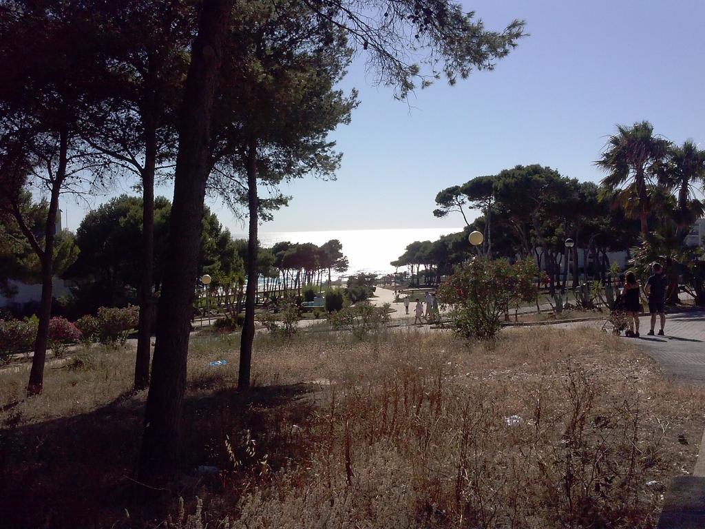 Apartamento La Rotonda C-116 Conil De La Frontera Chambre photo